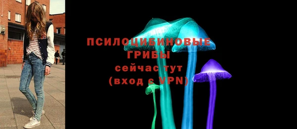 винт Богородицк